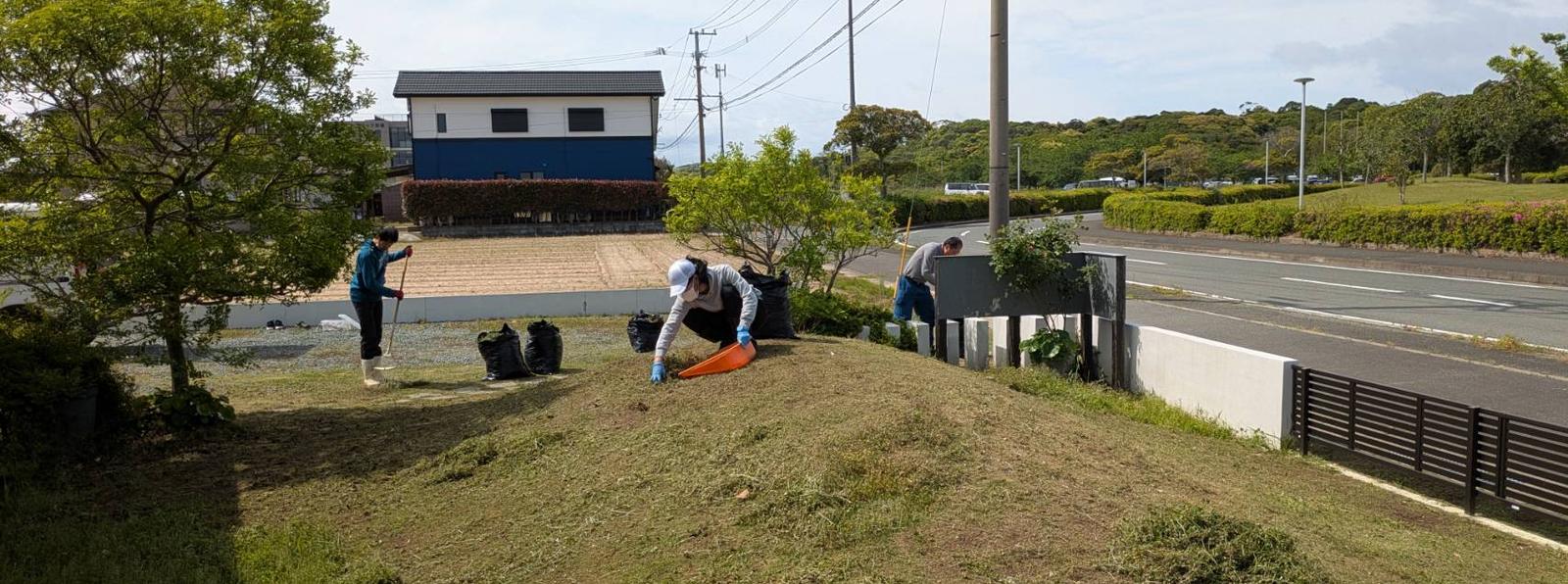除草作業（草刈り・草集め）